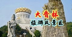 骚逼性视频中国浙江-绍兴大香林旅游风景区